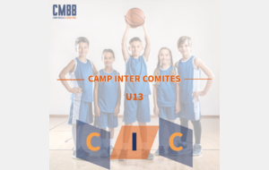 CAMP INTER COMITES - Verdun